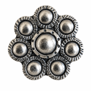 Anillo Planetario