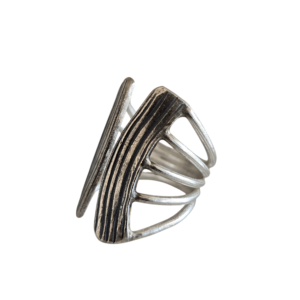 Anillo Paralelo