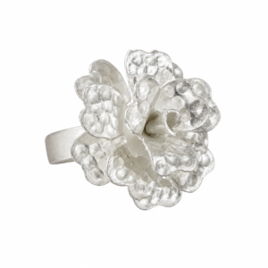 Anillo Krepa